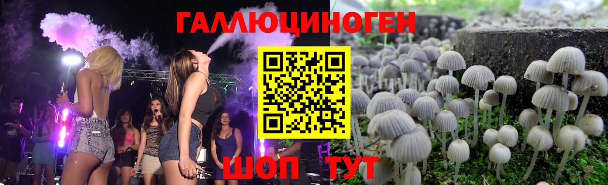 Псилоцибиновые грибы ЛСД Ирбит